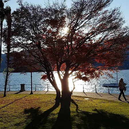 Lejlighed Eliya's Place Verbania